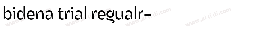 bidena trial regualr字体转换